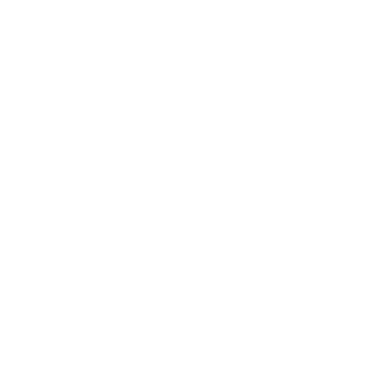 Georgia Electric logo